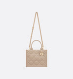Sac Dior Book Tote Small